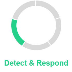 Detect & Respond
