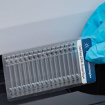 Cell-free DNA ScreenTape Analysis