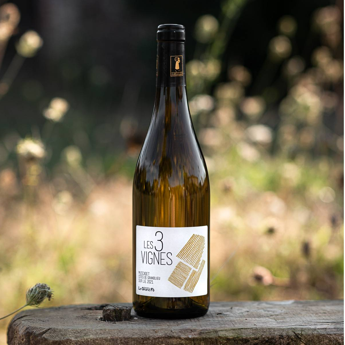 Muscadet sur lie Côtes de Grand Lieu " Les 3 vignes "
