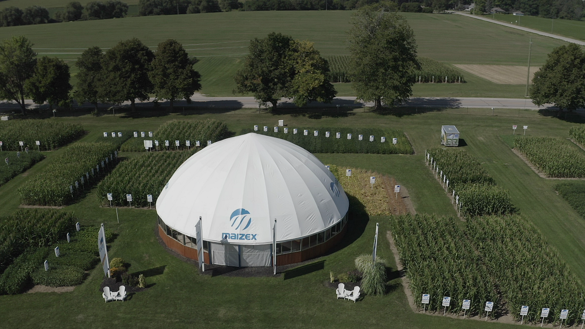 Agronomy, Soybeans & Corn: Visit the Maizex Plot