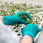 Innovation et qualité