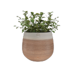 Cache-pots Céramique