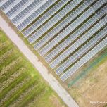 Projet insolagrin@Conthey