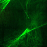 Gestaltung, Lighting Design (B.A.)