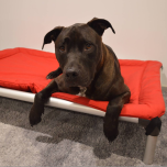 Kuranda Chew Proof Dog & Cat Beds