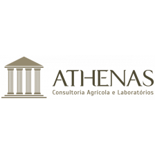 ATHENAS CONSULTORIA