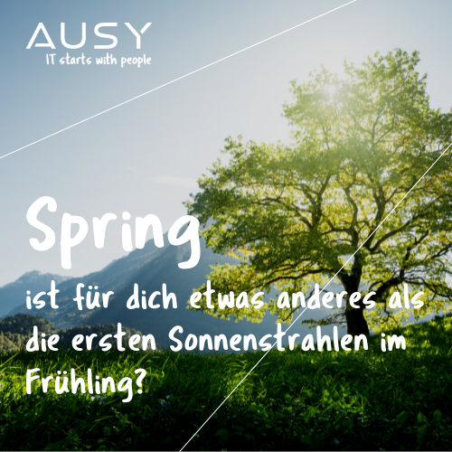 🚀 Lead Developer / Software Architect (m/w/d)