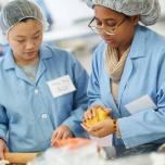 Undergraduate Programs