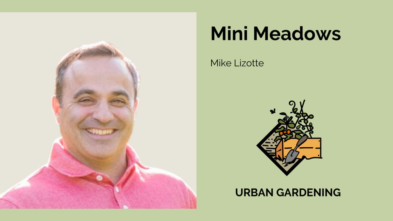 Mini Meadows with Mike Lizotte