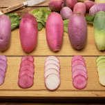Gamme Radis DELI VOLTZ Maraîchage