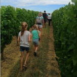 Les P'tites Vadrouilles