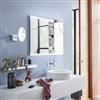 LED illuminated mirror cabinet Evo