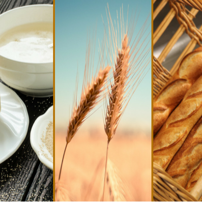 Fondamentaux de la boulangerie