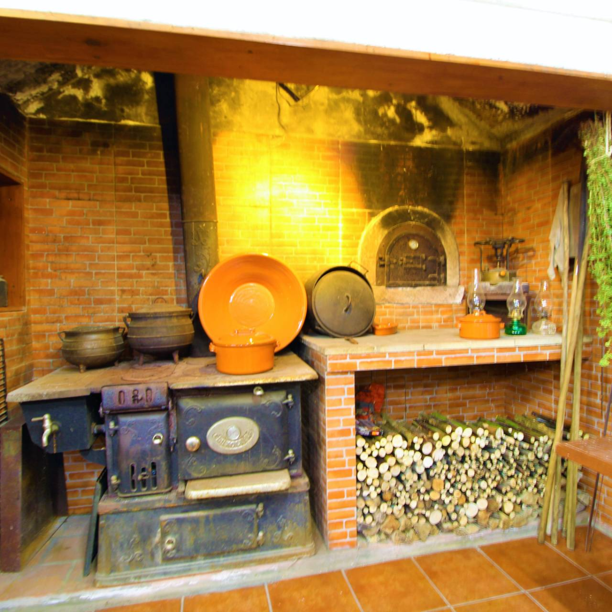 Rustic land with agricultural support house