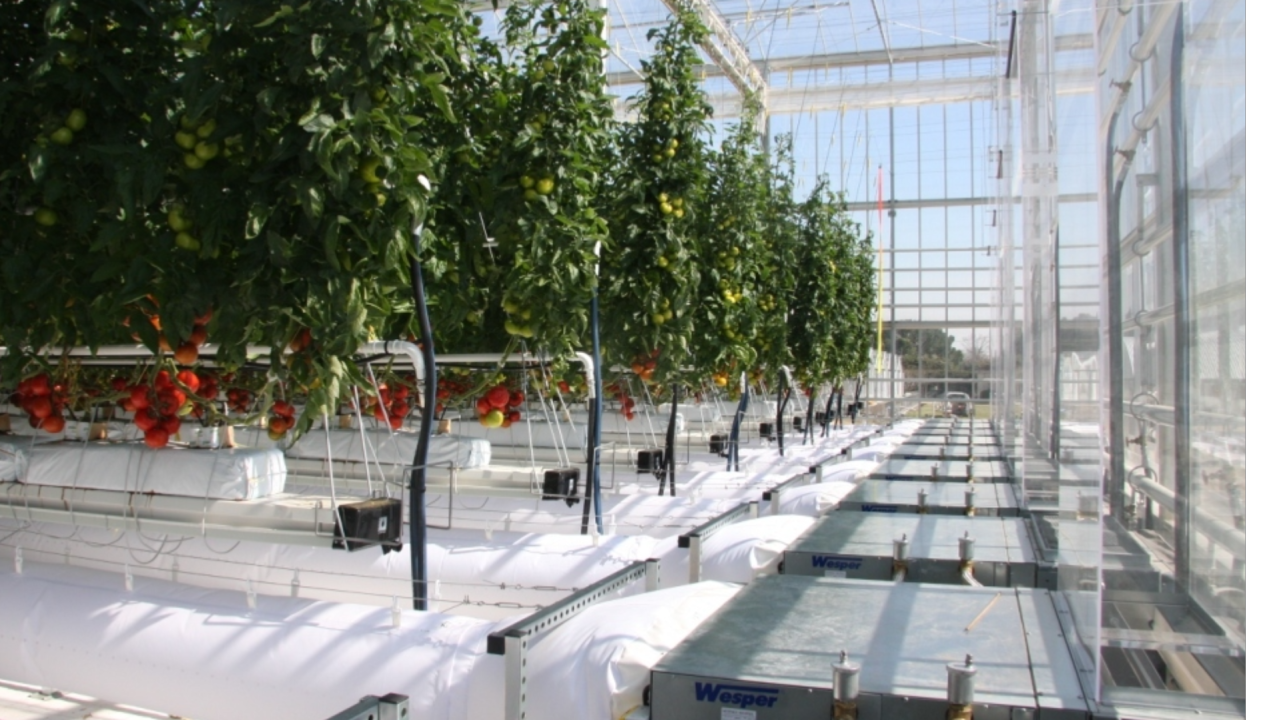 Solutions for reducing energy consumption in greenhouses