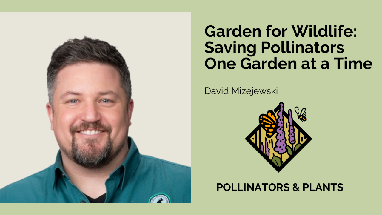 Gardening For Wildlife: Saving Pollinators One Garden at a Time with David Mizejewski