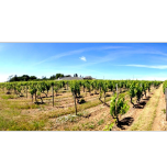 Découverte gourmande du Chenin