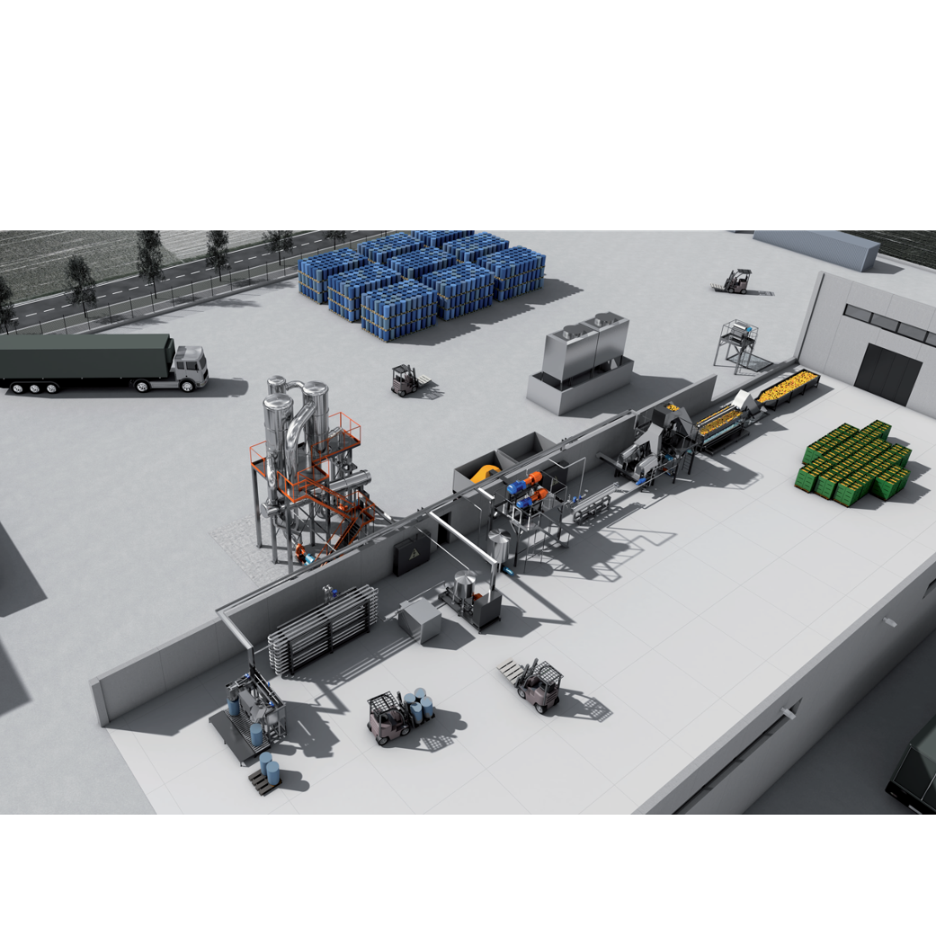 FRUIT PROCESSING LINES