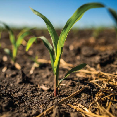 Crop Input Financing - options to purchase inputs when you need them the most