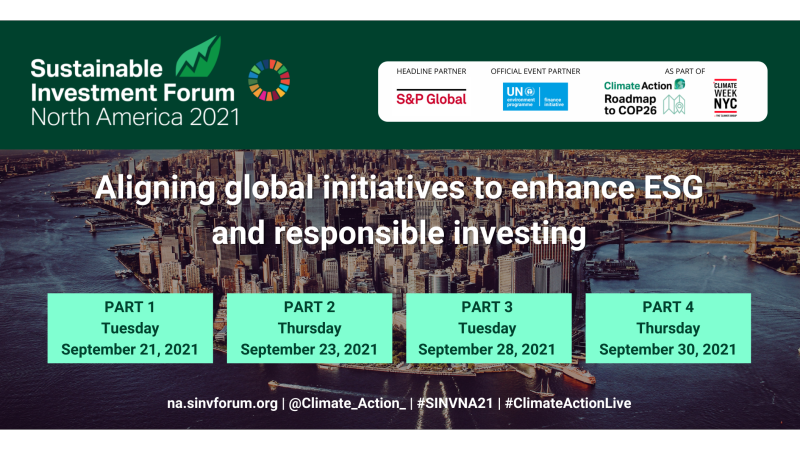 Virtual Panel Debate - Benefits and short comings of forward scenario risk analysis- a holistic approach to strategy and impact assessment?