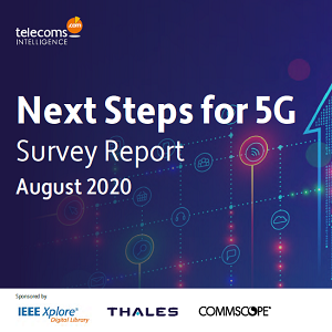 Next Steps for 5G Survey Report