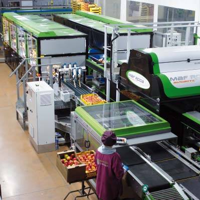 Robotique / Emballage automatique : LINE PACK - FAST PACK