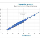 Solforosa Libera NEW