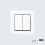 Philips Hue bedienen in JUNG design