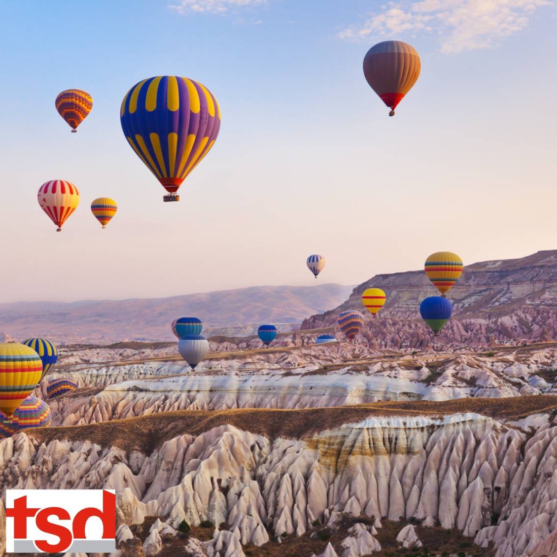 English Native Speaker