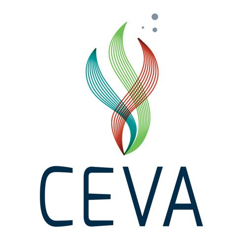 CEVA - Ronan Pierre