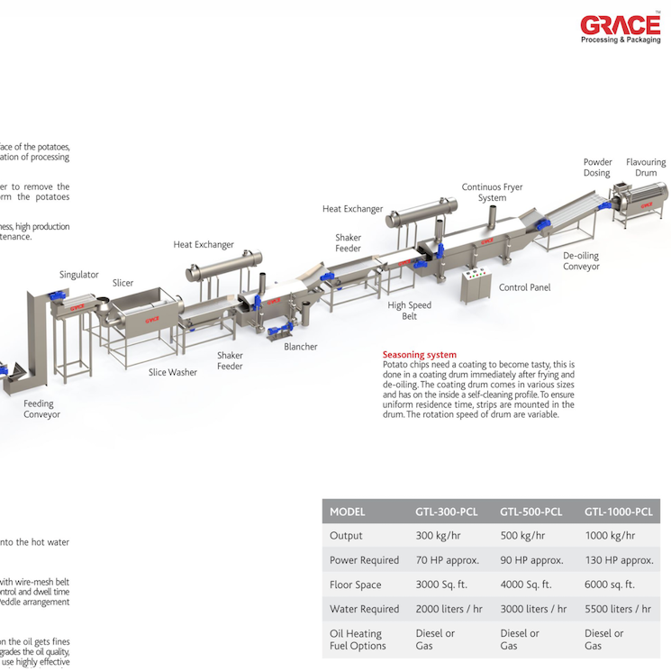 Frozen French Fries Production & Packaging Line
