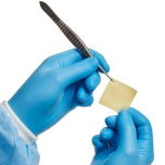 XenoSure® Biologic Patch