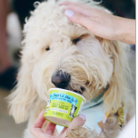 The Bear & The Rat Frozen Yogurt Dog Treat