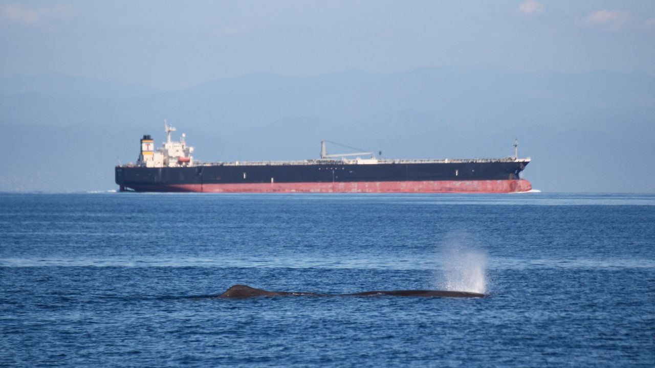 Speed up to slow down