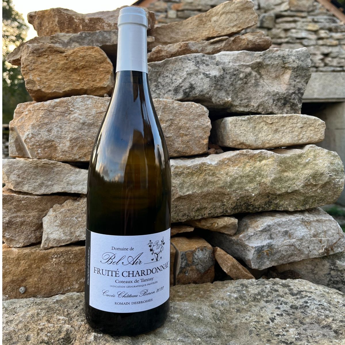 Fruité chardonnay 2022