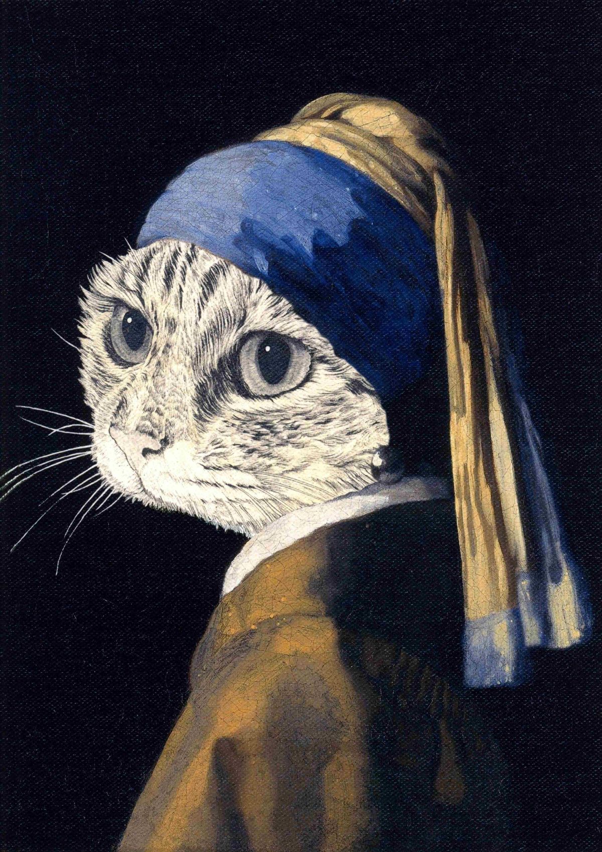 Vermeer Cat - JAPAN edition of 10 - Takahiro Yamada