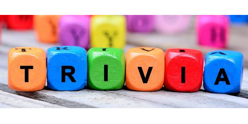 Evening Networking Activity: Trivia!