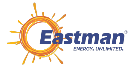 Eastman Auto & Power Ltd