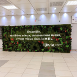 Mur végétal stabilisé