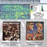 GREEN ATLAS - Cartographer