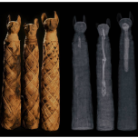 HOW CATS AND DOGS CONQUERED THE WORLD 2x52' 4K - a One Planet and Arte co-production