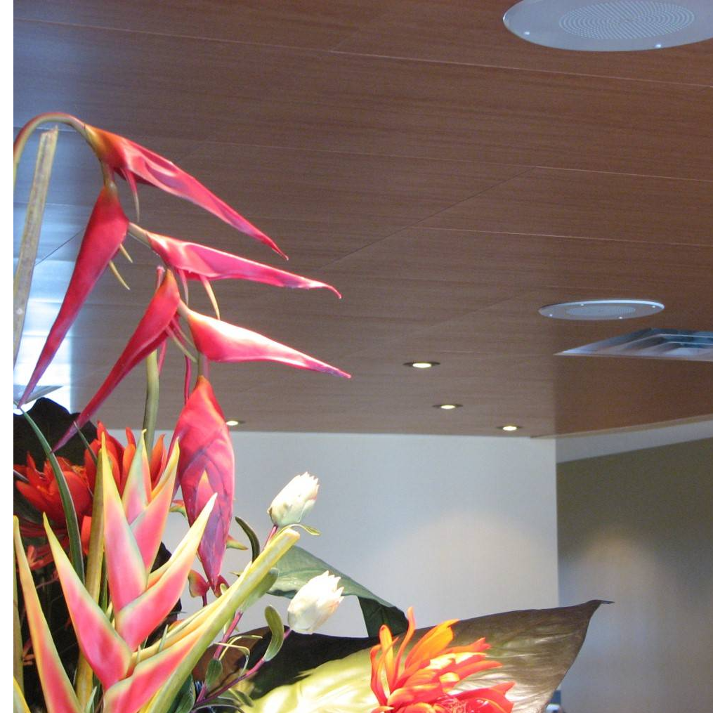 Planostile - plafonds métalliques fini bois