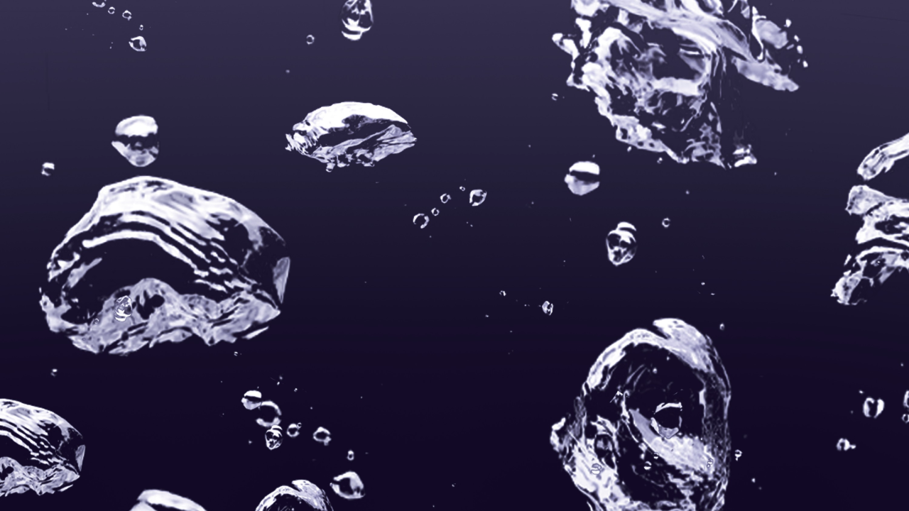 Rendez-vous des maitres - Rendez-vous Performa - Partie 2