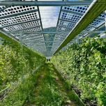 Projet insolagrin@Conthey