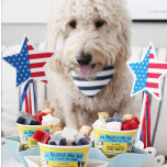 The Bear & The Rat Frozen Yogurt Dog Treat