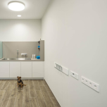 Fellini Dog Salon, Dusseldorf