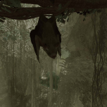 Inside Tumucumaque - a virtual reality installation