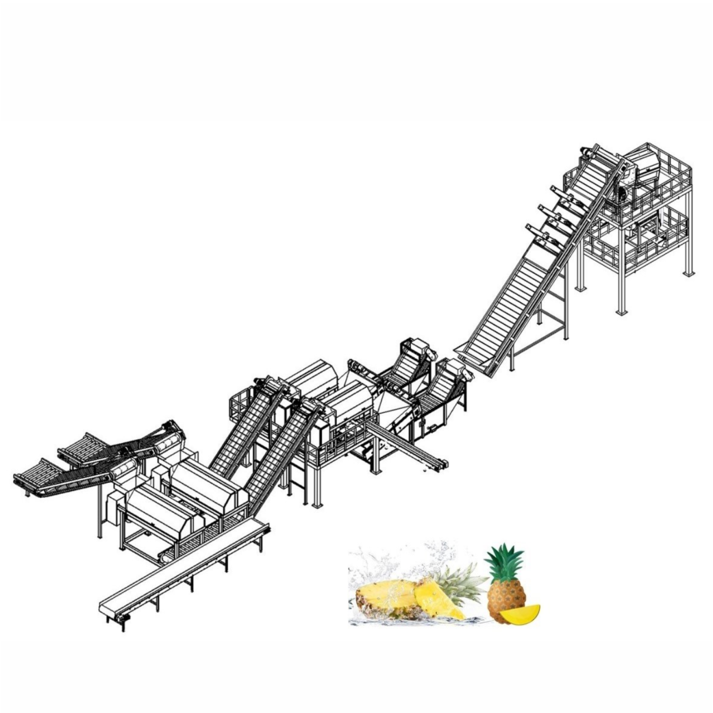 Mango Processing Line