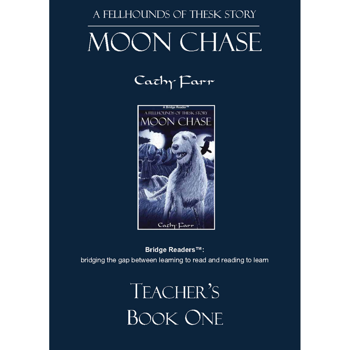 Moon Chase, Teacher's Book download