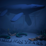 The Starry Sand Beach